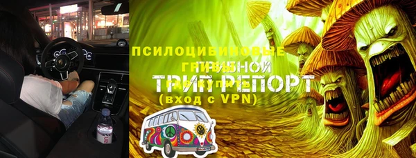сатива Арсеньев