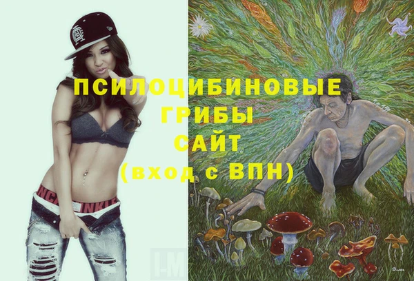 сатива Арсеньев
