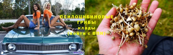 эйфоретик Армянск