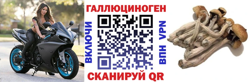 Галлюциногенные грибы GOLDEN TEACHER  дарнет шоп  Можайск 