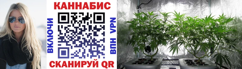 Каннабис гибрид  Можайск 